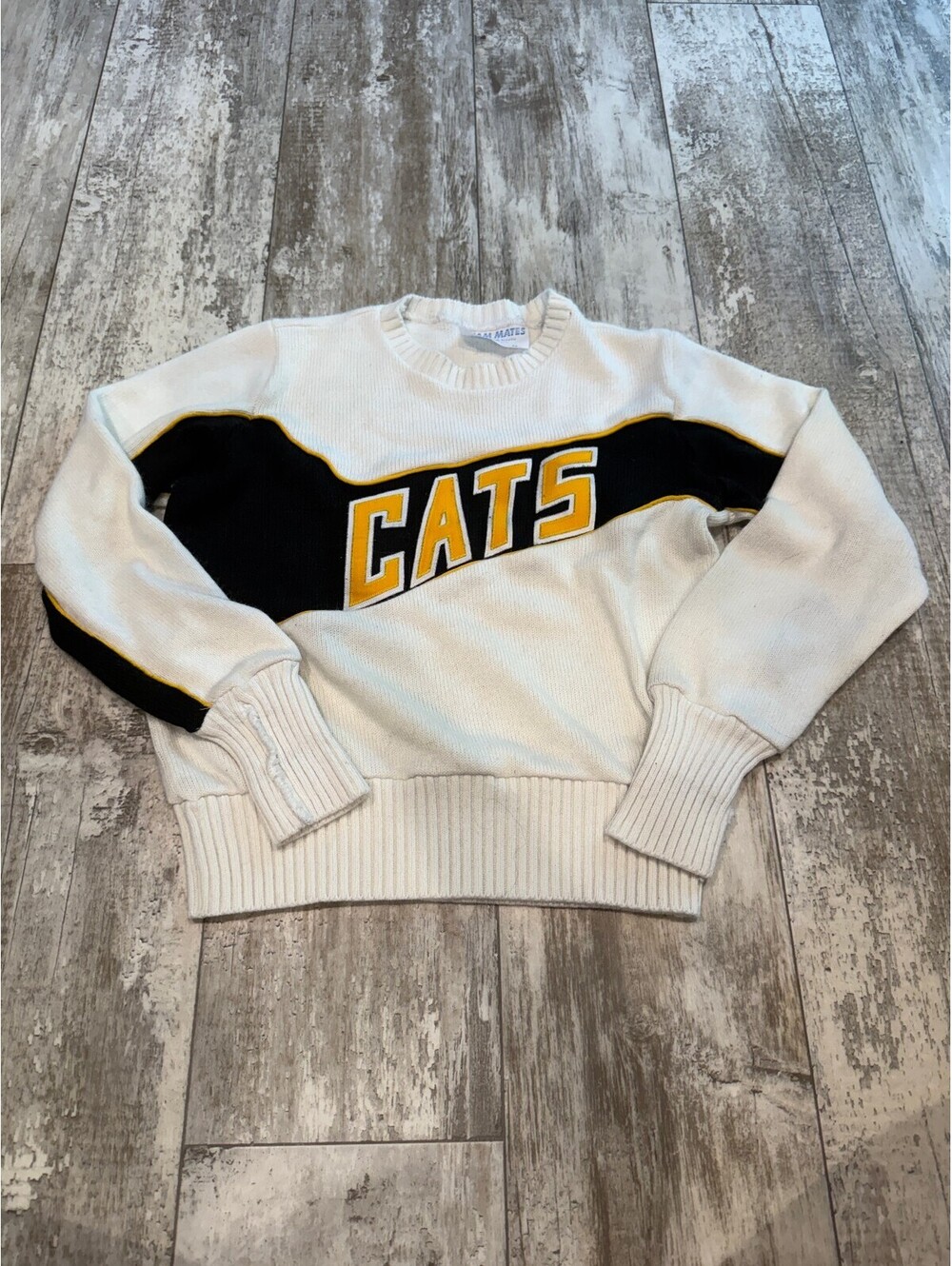 Vintage Team Mates Cats Sweater Size 38 USA Made Cheerleader Varsity